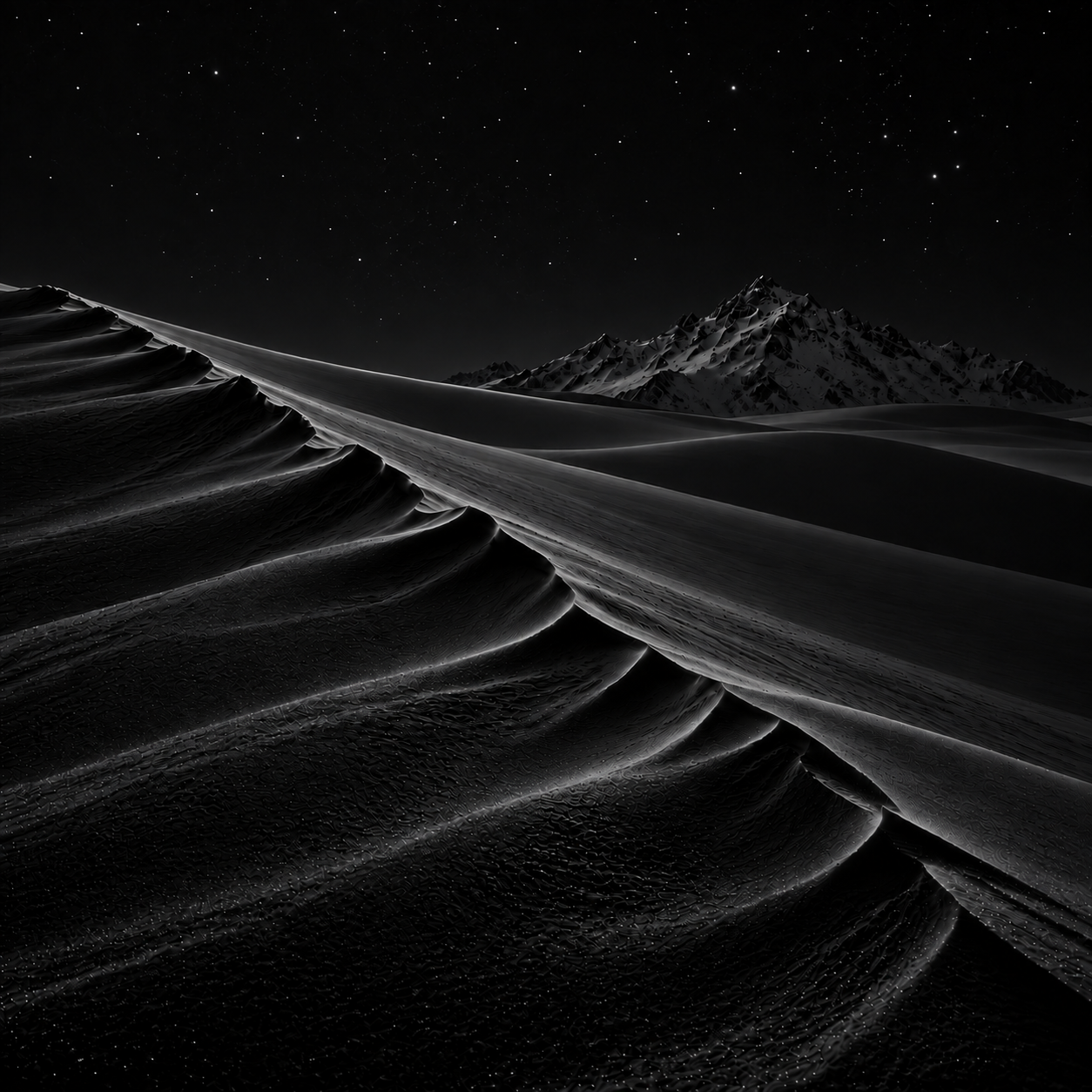 Portada de EXPERIENCES: paisaje de nieve y montañas bajo un cielo estrellado